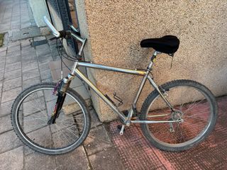 Bicicleta de montaña plateada