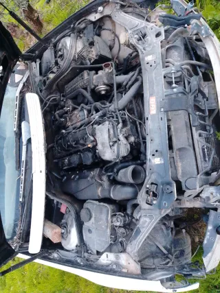 Despiece Mercedes 270 CDI W209