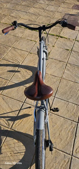 Bicicleta Paseo Montana Vintage Gris