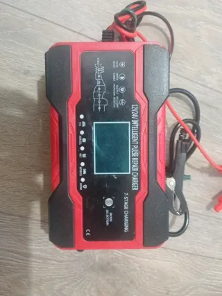 Cargador Batería Coche 12V/24V Inteligente