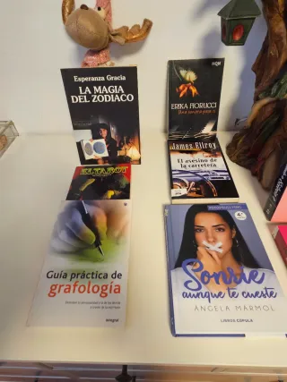 Libros a 8€ cada uno y si coges el lote a 30€
