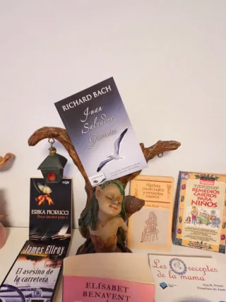 Libros a 8€ cada uno y si coges el lote a 30€