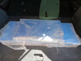 Lejas azules  juveniles