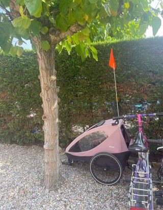 Remolque Hauck bici 2 niños/23kg como nuevo