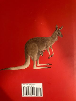 This is Australia A Children's Classic