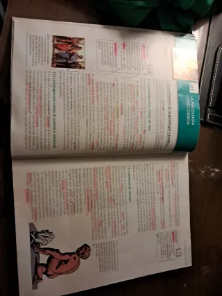 Psicología Teoría 2º Bachillerato