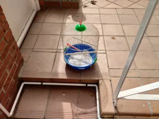 Jaula para Agapornis