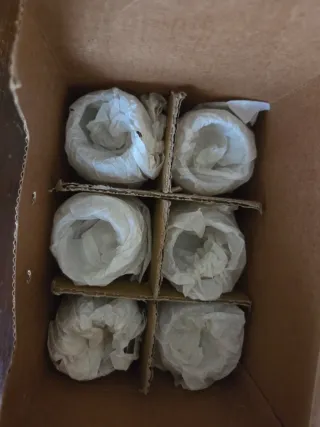 6 Bicchierini piroettanti La Vida