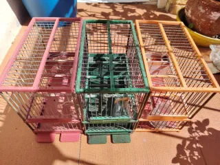 Jaulas Jilgueros con Fundas (3uds)