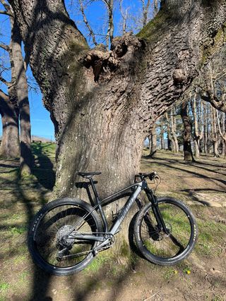 Bicicleta Mendiz X21 XCO Talla 54 (M)