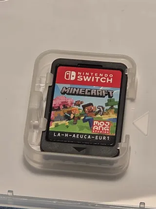 Minecraft Nintendo Switch (Bedrock edition)