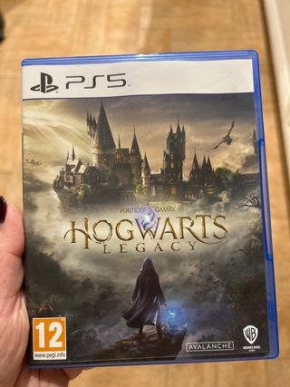 Hogwarts Legacy PS5