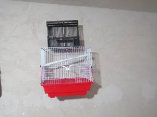 Lote 2 gabbie per uccelli