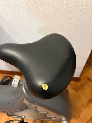 Bicicleta Estática Rhyno