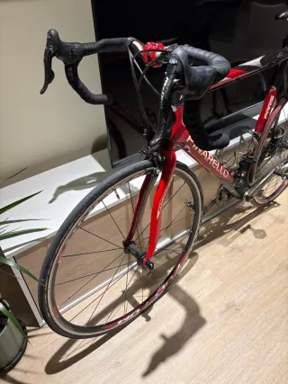 Pinarello París Carbono
