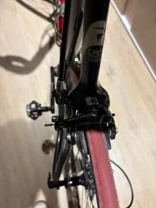 Pinarello París Carbono