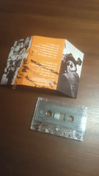 Cassette 12 Inches of Snow