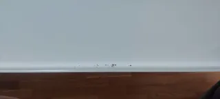 Mesa salón y de centro cristal templado, 4 sillas