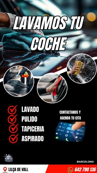 Auto lavado de coches