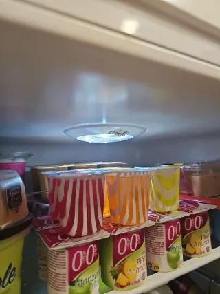 Frigorífico Daewo 1 Puerta sin Congelador