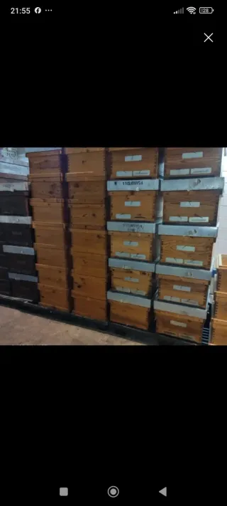 Cajas de Colmenar langstroth vacías sin abejas