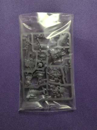Chamán Pantanozo Warhammer Age of Sigmar Matriz