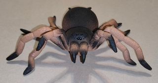 Ragno Spider Lycosa Narbonensis Action Figure