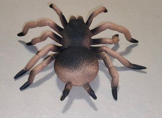 Ragno Spider Lycosa Narbonensis Action Figure