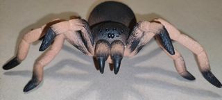 Ragno Spider Lycosa Narbonensis Action Figure