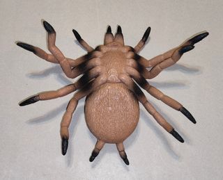 Ragno Spider Lycosa Narbonensis Action Figure