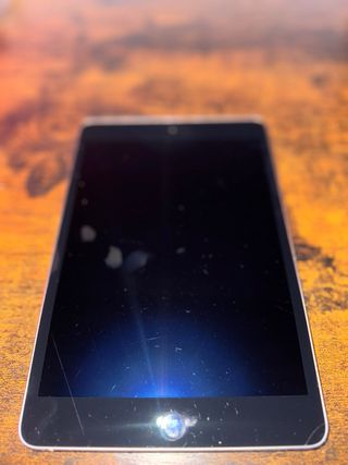 iPad Mini 4 16GB Gris Espacial