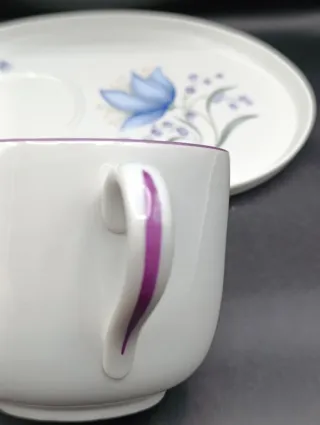 Tazón y plato porcelana Limoges con flores azules