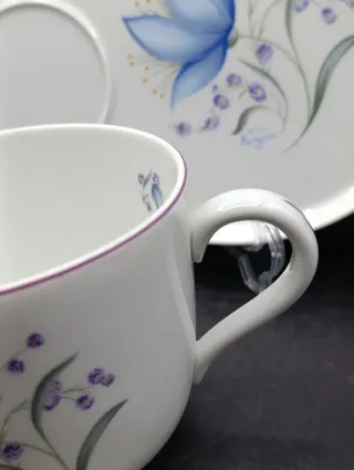 Tazón y plato porcelana Limoges con flores azules