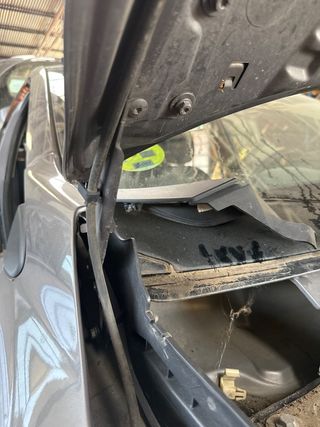 BISAGRA CAPO DERECHA RENAULT MEGANE III BERLINA 5P