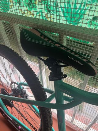 Bicicleta Wolfbike color turquesa