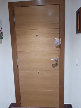Puerta blindada entrada piso con 2 cerraduras