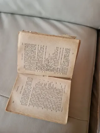 Divina Commedia tascabile