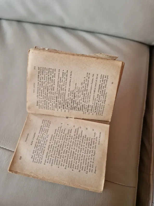 Divina Commedia tascabile