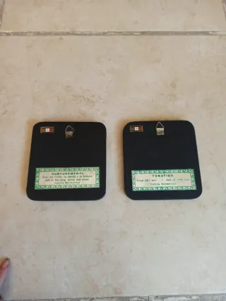 2 Cuadros Decorativos Dioses México