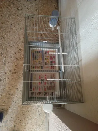 Jaula para pájaros plateada