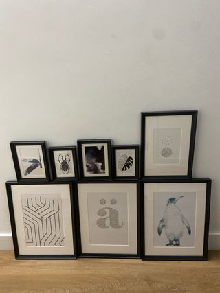 Conjunto de 7 cuadros decorativos