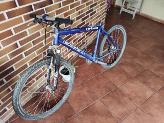Bicicleta Orbea Ruedas 26