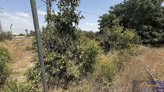 Casa rural en venta en Los Martinez del Puerto en Murcia