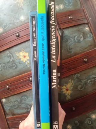 José Antonio Marina