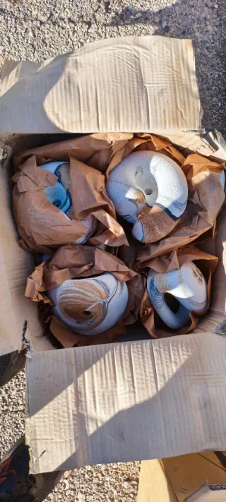 Presas de escalada variadas