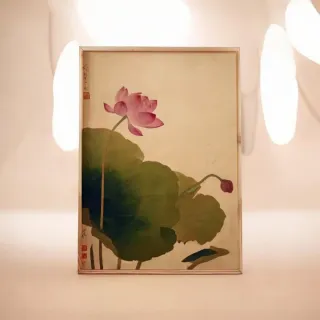 Poster Fiore di Loto 40x60