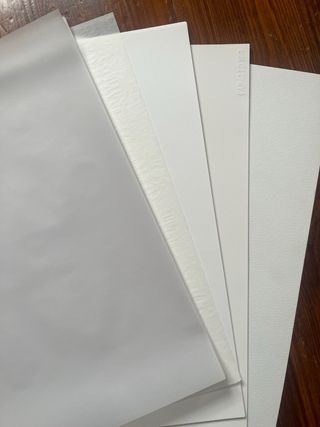 Regalo Papel Dibujo, Calco, Cebolla Caballo109 A3