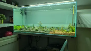 Lámpara LED Acuario 120mm