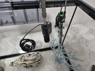 Acuario 80L con accesorios