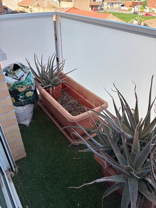 Macetero rectangular de plástico